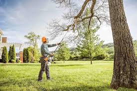 Reliable Mickleton, NJ  Tree Services Solutions