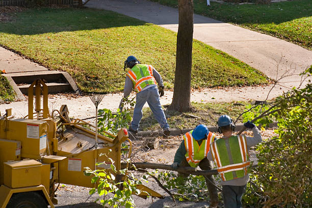 Lawn Drainage Solutions in Mickleton, NJ